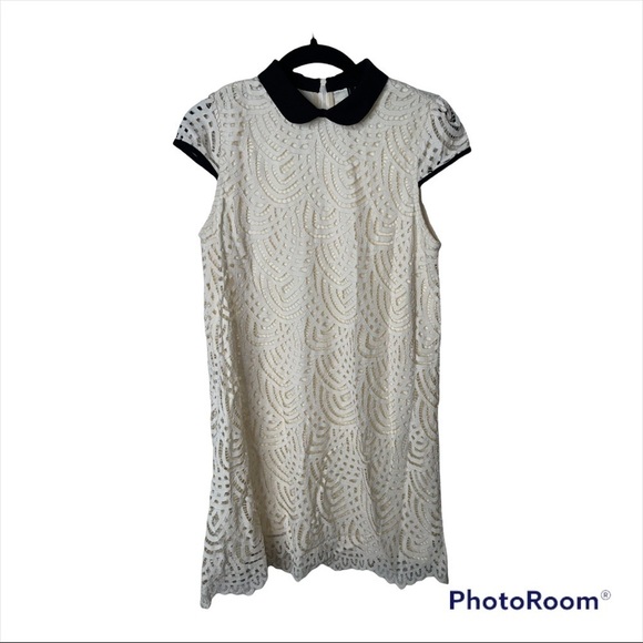 ZARA COLLECTION Cream Lace Collared Mini Shift Dress Size Medium - Picture 3 of 6